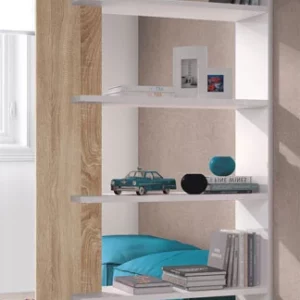 Libreria "ALIDA"